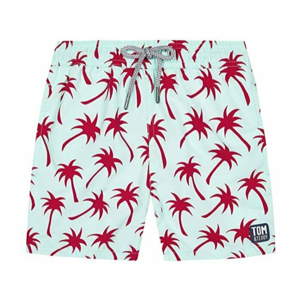 Tom&Teddy Palms Ice Green& Fuchsia Mens swim